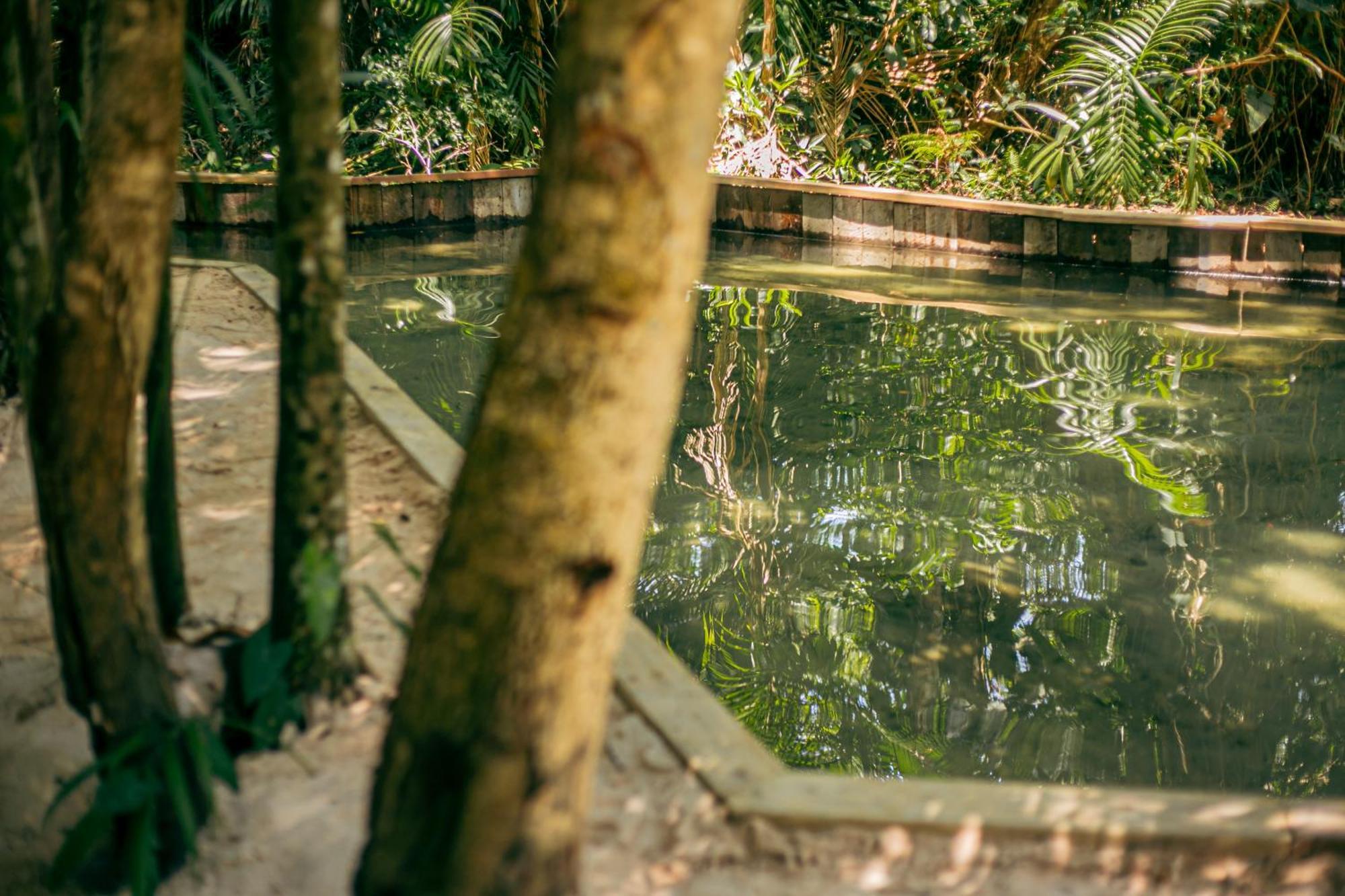 Pousada E Restaurante Amazonia Alter do Chão Eksteriør billede
